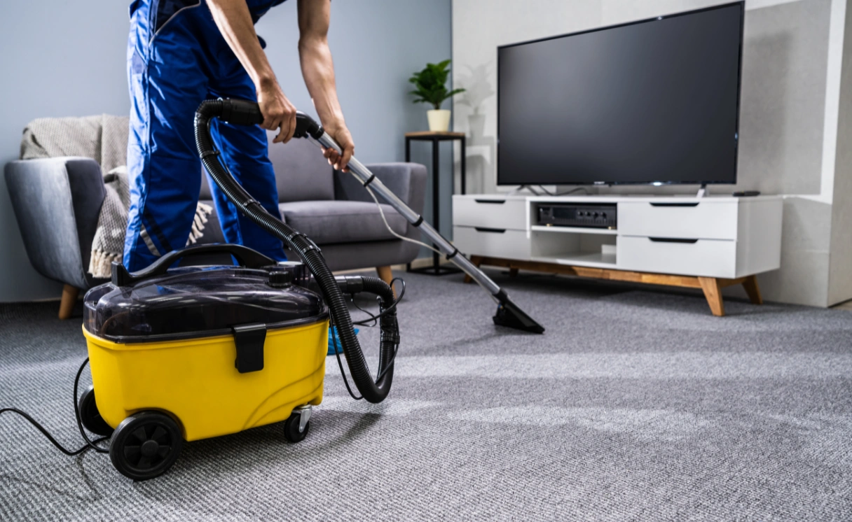Extract Upholstery Cleaning North Shore Contact Office